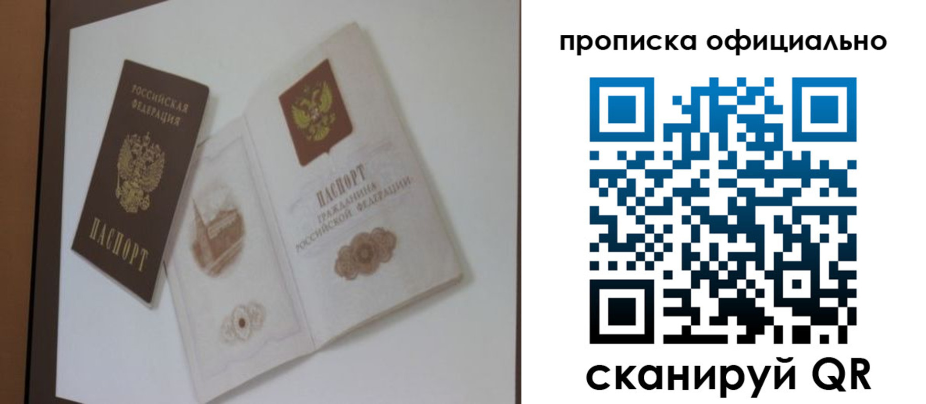 прописка гарантия в Йошкар-Оле